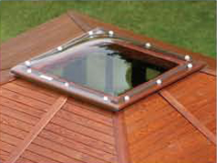 dal�� detail 