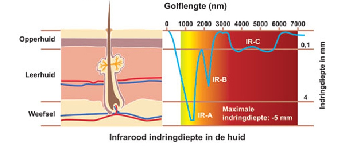 Infrasauna LEVI 4 - bílý cedr